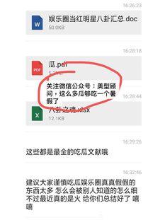 娱乐圈吃瓜pdf文件,PDF文件深度解析
